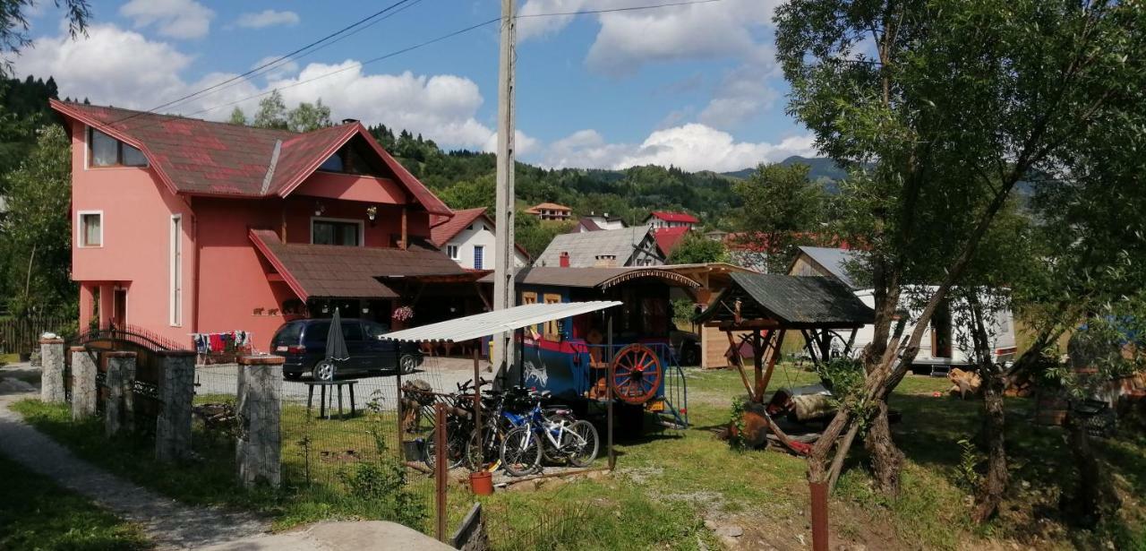 Traditia Borsanului Dış mekan fotoğraf