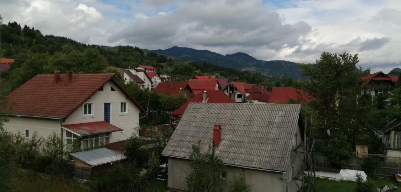 Traditia Borsanului Dış mekan fotoğraf