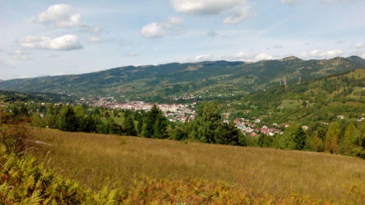 Traditia Borsanului Dış mekan fotoğraf